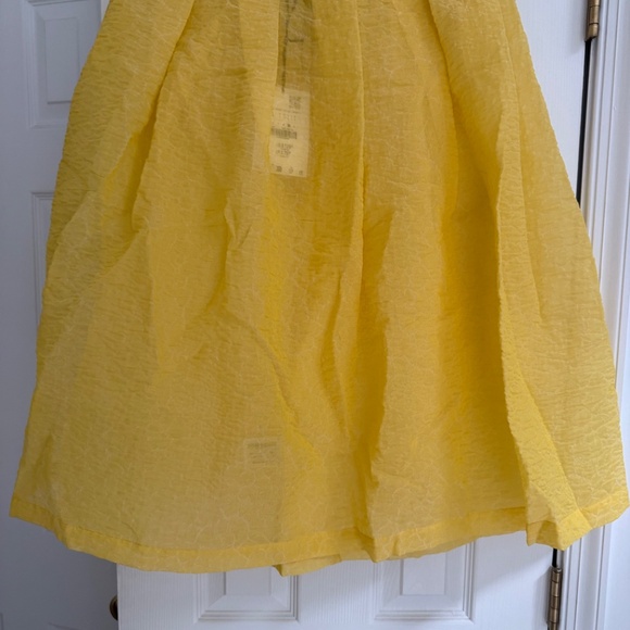 Zara Studio Sheer Jacquard Skirt - Picture 2 of 3